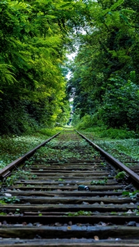 Wooden Retro Railroad Grass Trees wallpaper