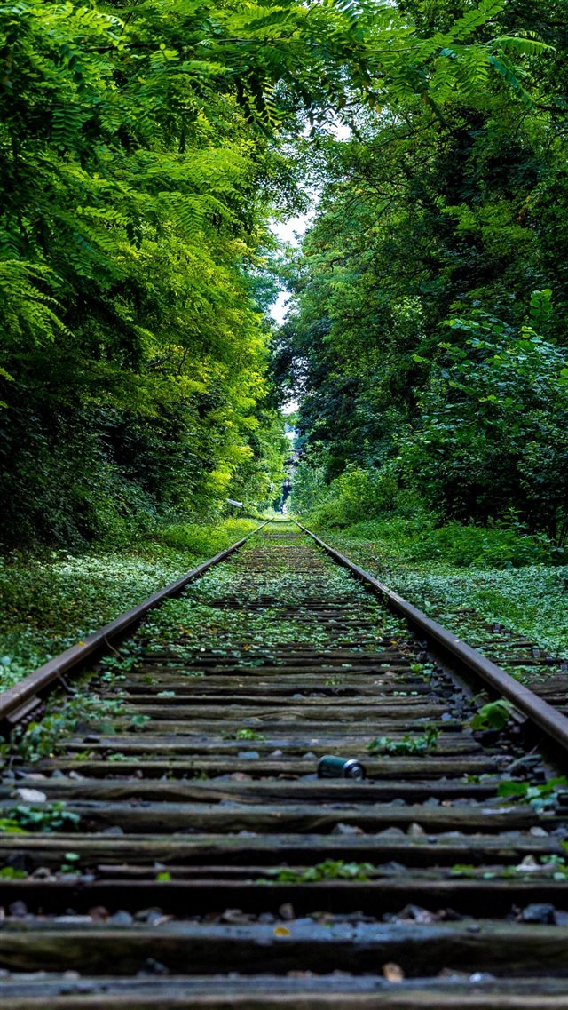 1080x1920 Wooden Retro Railroad Grass Trees - retro iPhone 8 Wallpaper