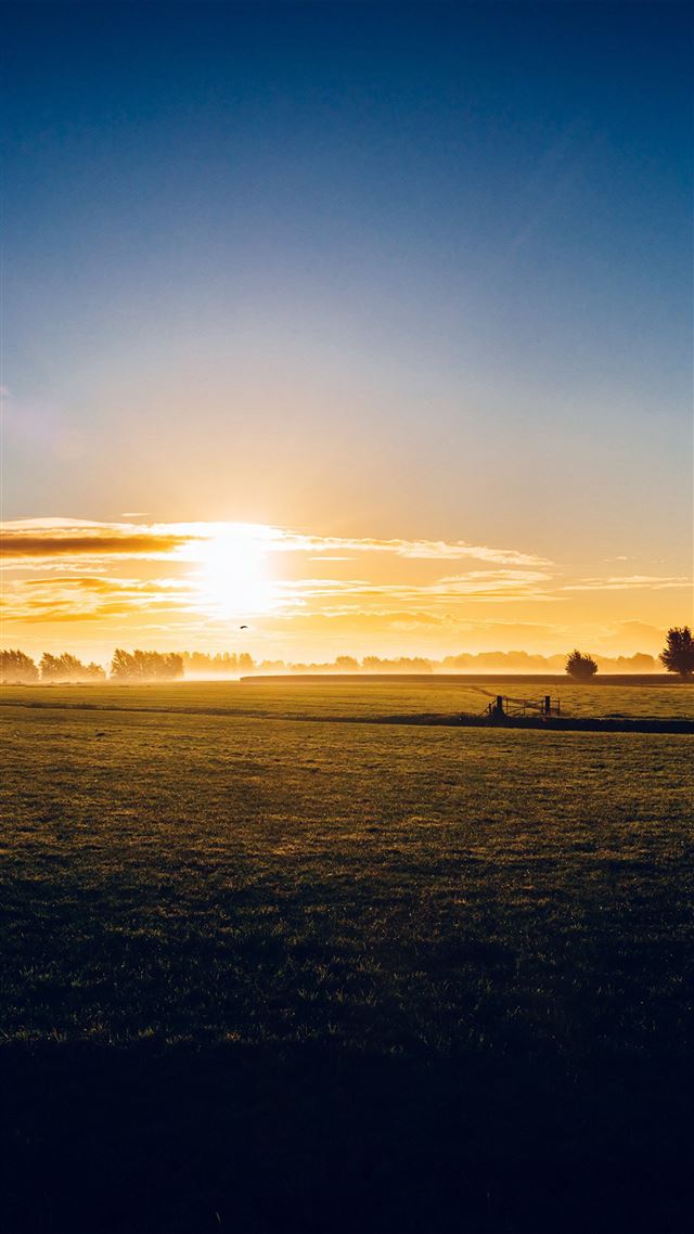 1080x1920 Sunny Morning Farm Peace Nature - skyline iPhone 8 Wallpaper