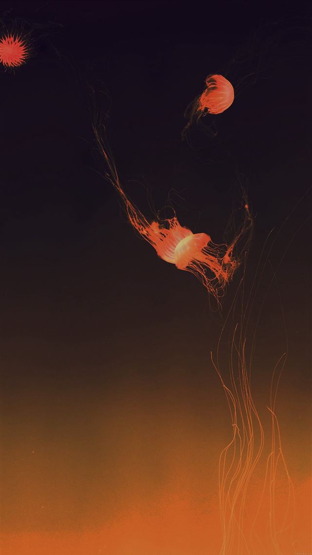 1080x1920 Jellyfish Sea Animal Orange Nature - animal iPhone 8 Wallpaper