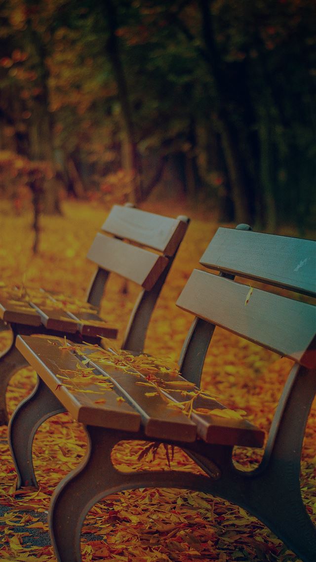 1080x1920 Fall Road Mountain Autumn Leave Nature Dark - road iPhone 8 Wallpaper