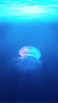 Ocean Jellyfish Surreal Light wallpaper