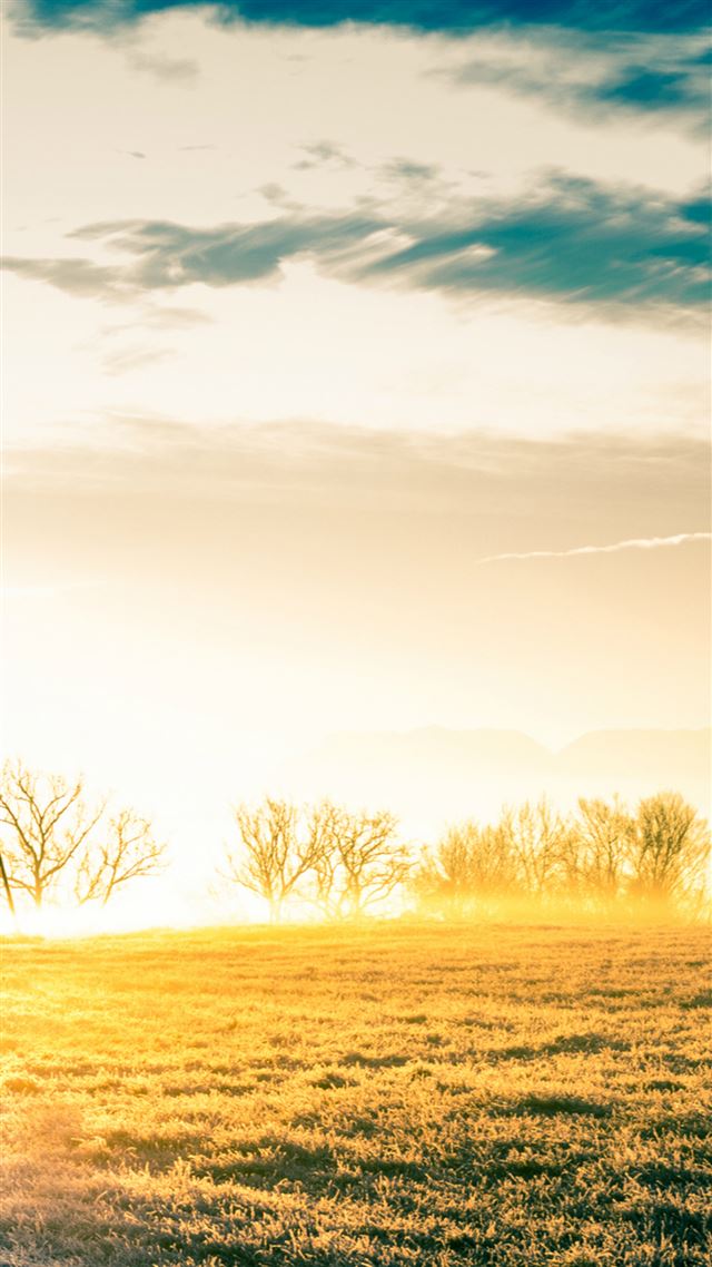 1080x1920 Vast Bright Golden Wither Grass Field - wither iPhone 8 Wallpaper