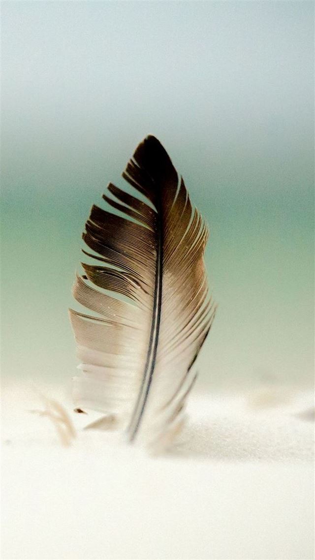 1080x1920 Feather In Sand  - close up iPhone 8 Wallpaper