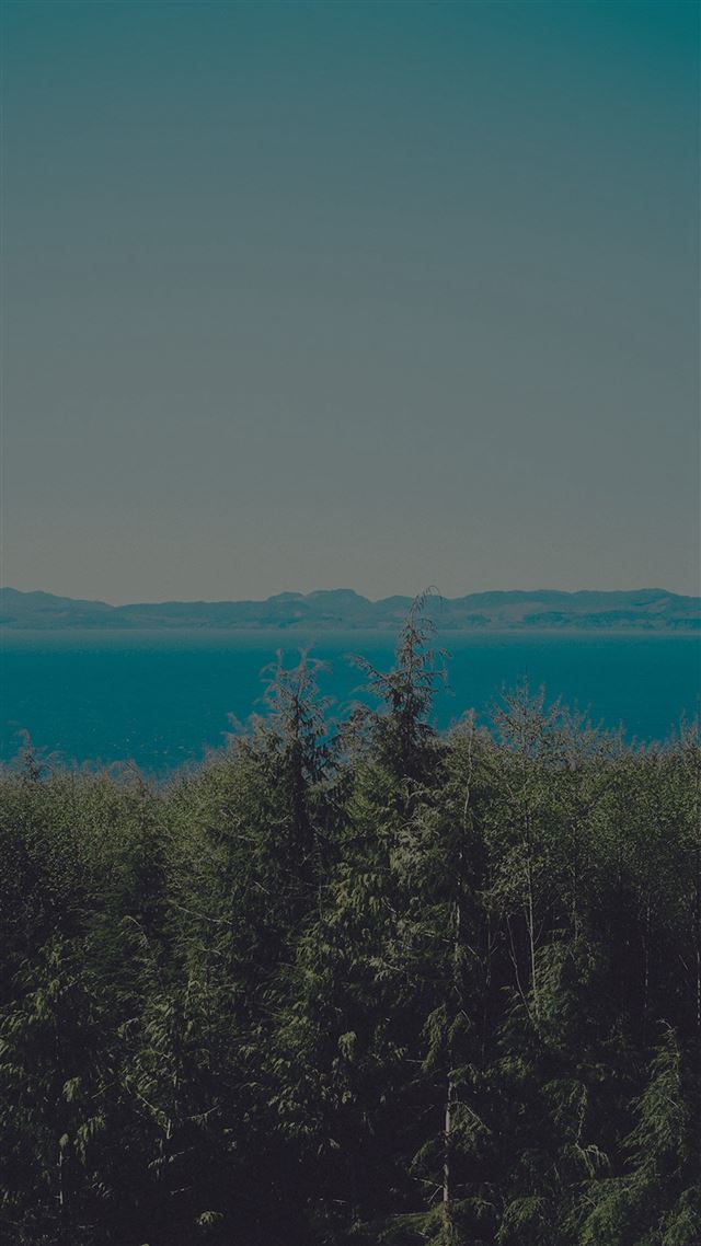 1080x1920 Wood Lake Blue Nature Water Dark Mountain - trees iPhone 8 Wallpaper
