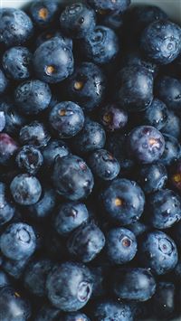Blue Berry Healthy Fruit Eat Food Nature wallpaper