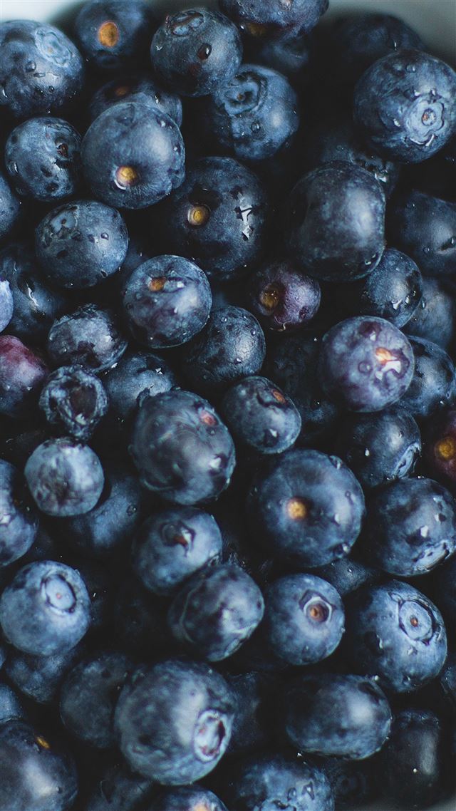 1080x1920 Blue Berry Healthy Fruit Eat Food Nature -  iPhone 8 Wallpaper