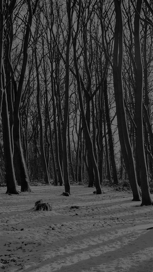 1080x1920 Cold Winter Forest Snow Nature Mountain Dark - shadow iPhone 8 Wallpaper