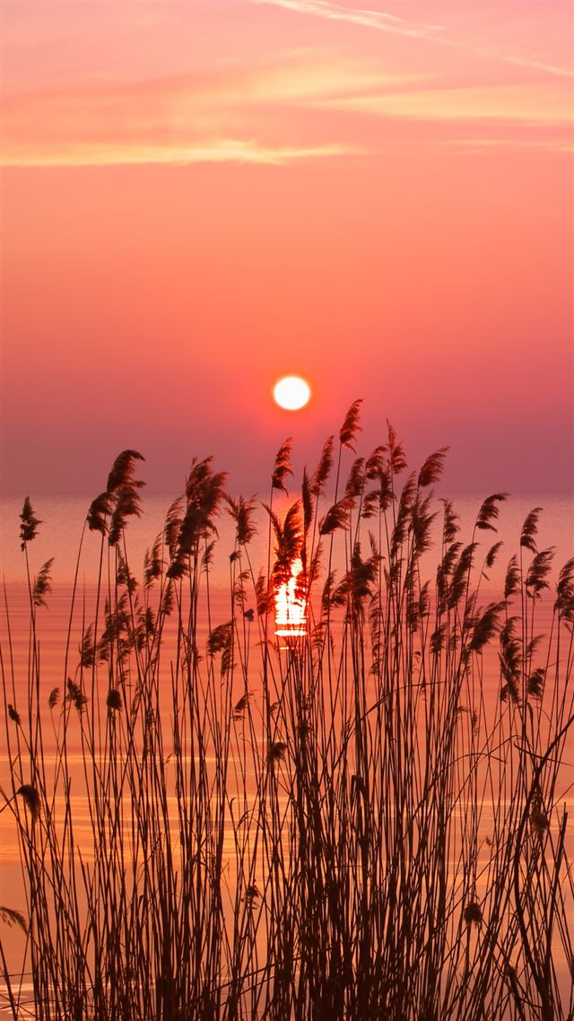 1080x1920 Very Holding Sunset  - ripple iPhone 8 Wallpaper