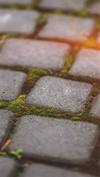 Garden Moss Stone Nature Road City Flare wallpaper