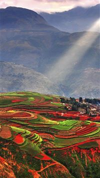 Red Brown Farmland wallpaper