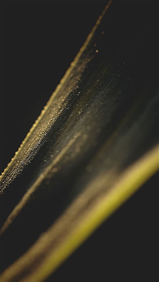 1080x1920 Astro Leaf Nature - macro iPhone 8 Wallpaper