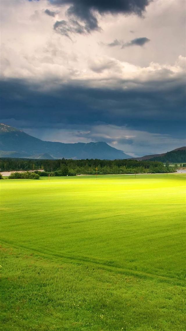 1080x1920 Sunny Fresh Grassland - mountains iPhone 8 Wallpaper