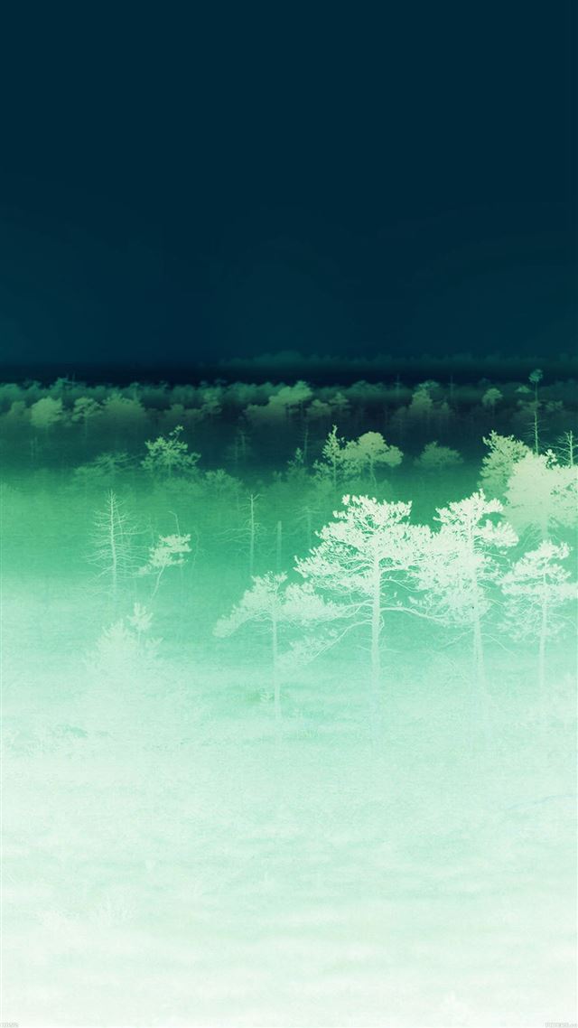 1080x1920 Sunset Wood Nature Ghost - grove iPhone 8 Wallpaper