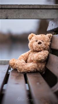 Lonely Bear Bench Gray wallpaper
