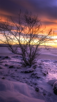 Buskerud Norway Lake Winter Snow wallpaper
