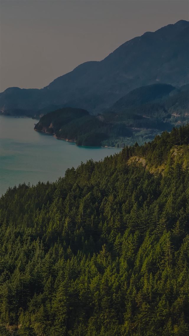 1080x1920 Lake Green Nature Wonderful Blue Summer Day Mountain Dark - grove iPhone 8 Wallpaper