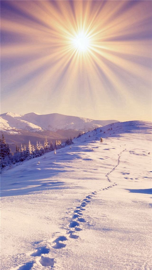 1080x1920 Nature Sunshine Bright Snowy Footprint Field - shadow iPhone 8 Wallpaper