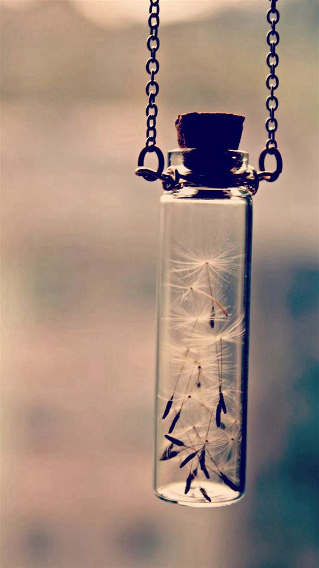 1080x1920 Wishing Bottle Nature Dandelion - aesthetic iPhone 8 Wallpaper