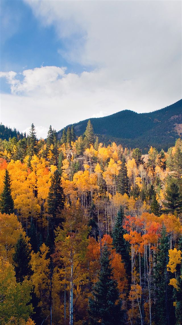 1242x2208 Fall Nature Mountain Wood Forest Tree Sky Summer - gray iPhone 8 Wallpaper