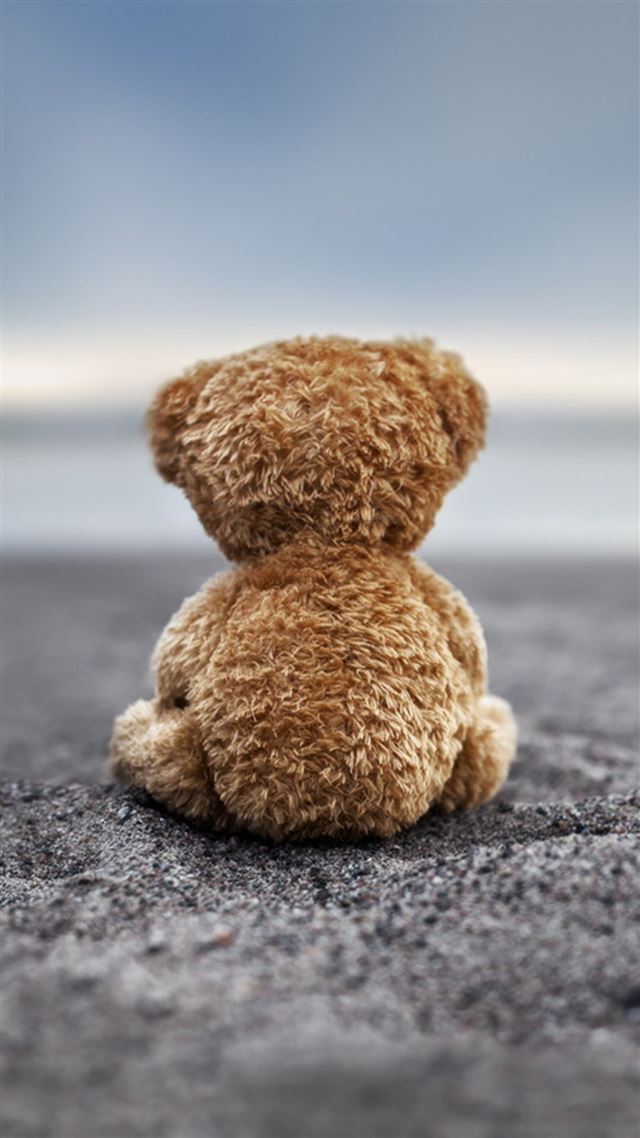 1080x1920 Bear Doll Back Lonely Ground - aesthetic iPhone 8 Wallpaper