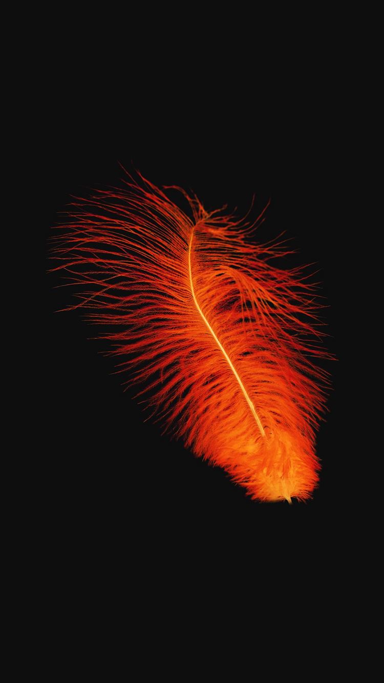 Feather Orange Dark Nature Minimal Iphone 8 Wallpaper Download