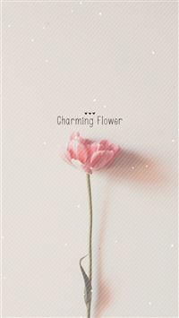 Pure Charming Flower Simple Pattern wallpaper