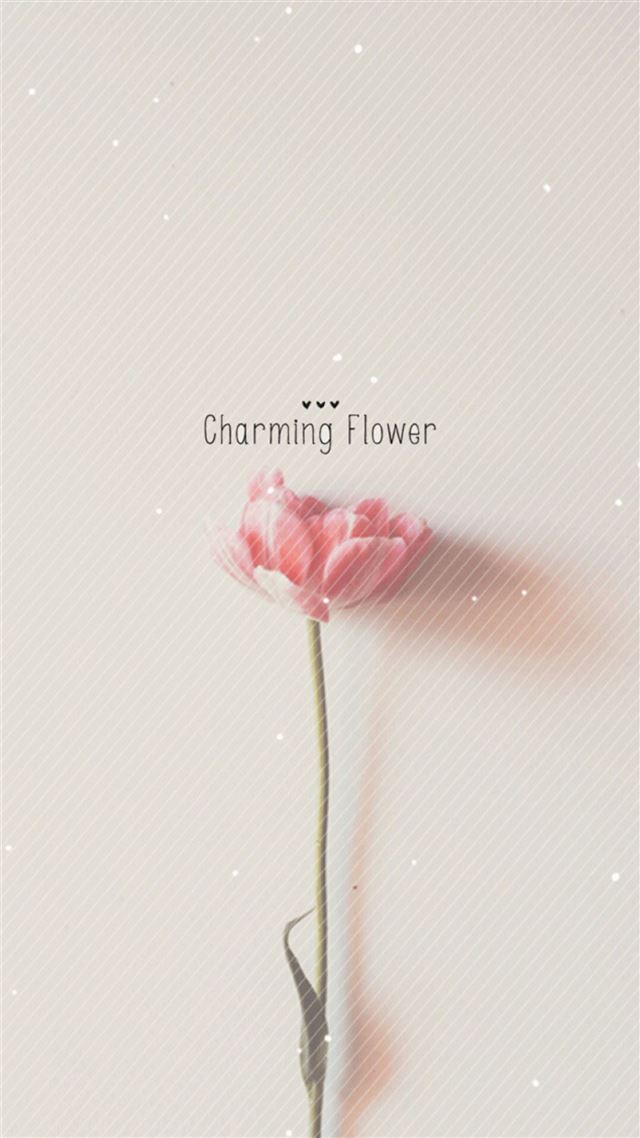 1080x1920 Pure Charming Flower Simple Pattern - gray iPhone 8 Wallpaper