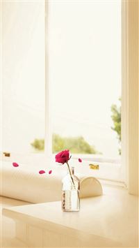 Falling Rose Petals Pure Elegant Indoors wallpaper