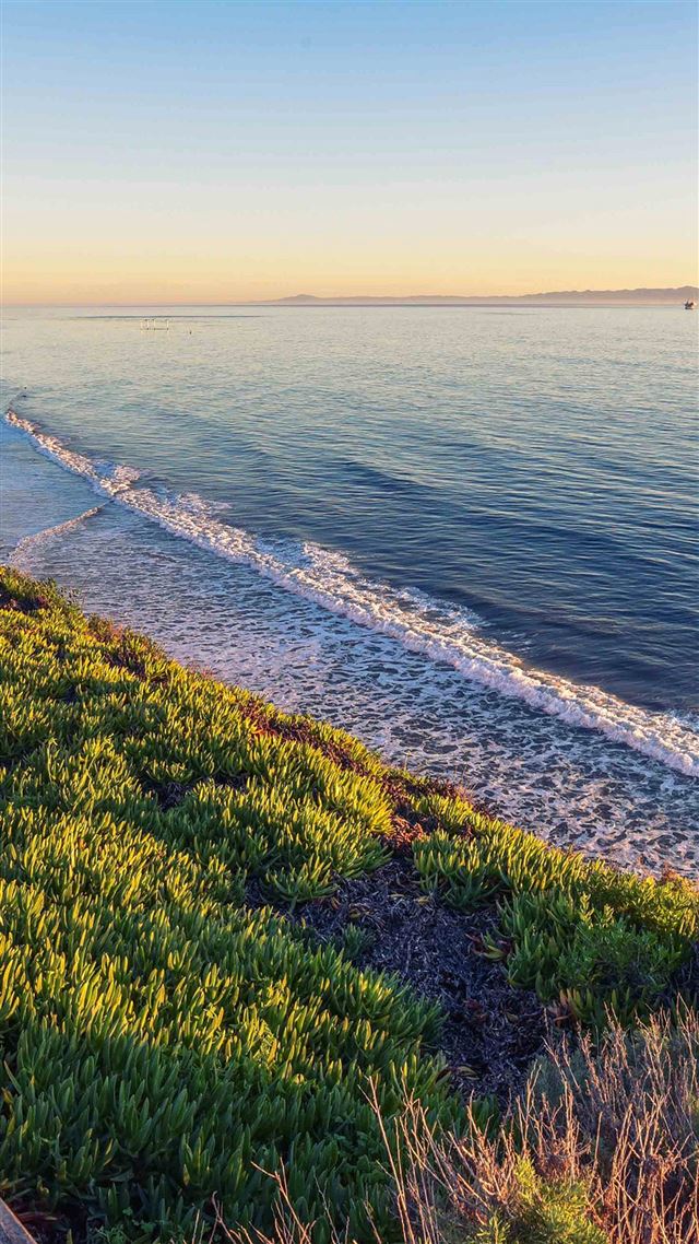 1080x1920 Peace Nature Wood Sea Ocean Nature - skyscape iPhone 8 Wallpaper