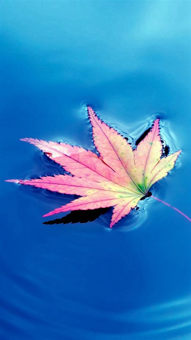 1080x1920 Pink Small Fresh Leaves - maple iPhone 8 Wallpaper