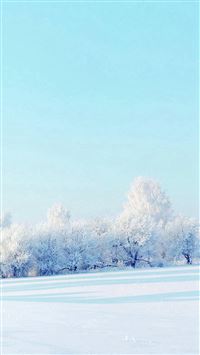Pure Winter Static Snow Field White World wallpaper