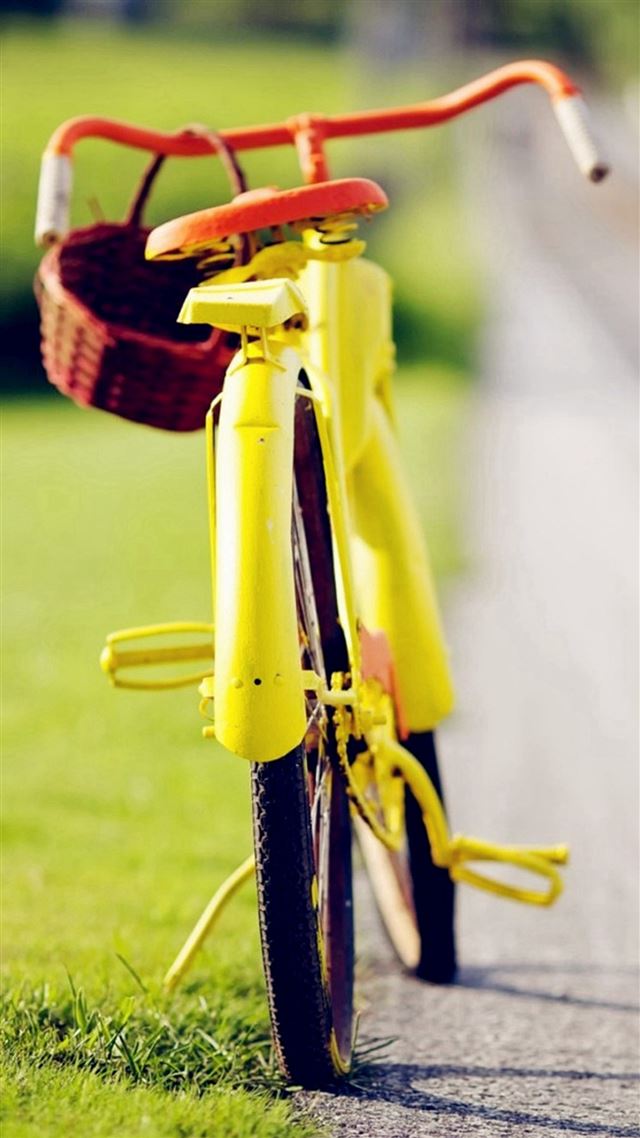 1080x1920 Small Baskets And Bicycles - way iPhone 8 Wallpaper