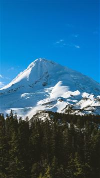 Blue Sky Mountain Cool Snow Wood Forest Nature Winter wallpaper