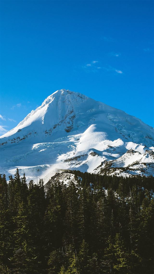 1080x1920 Blue Sky Mountain Cool Snow Wood Forest Nature Winter - forest iPhone 8 Wallpaper