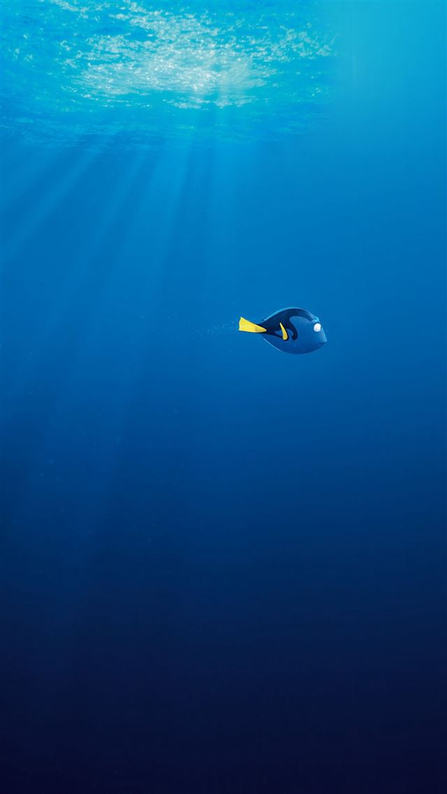 1080x1920 Finding Dory Disney Pixar Anime Art Illustration - lovely iPhone 8 Wallpaper