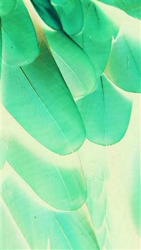 Feather Green Blue Nature Texture Animal Pattern wallpaper