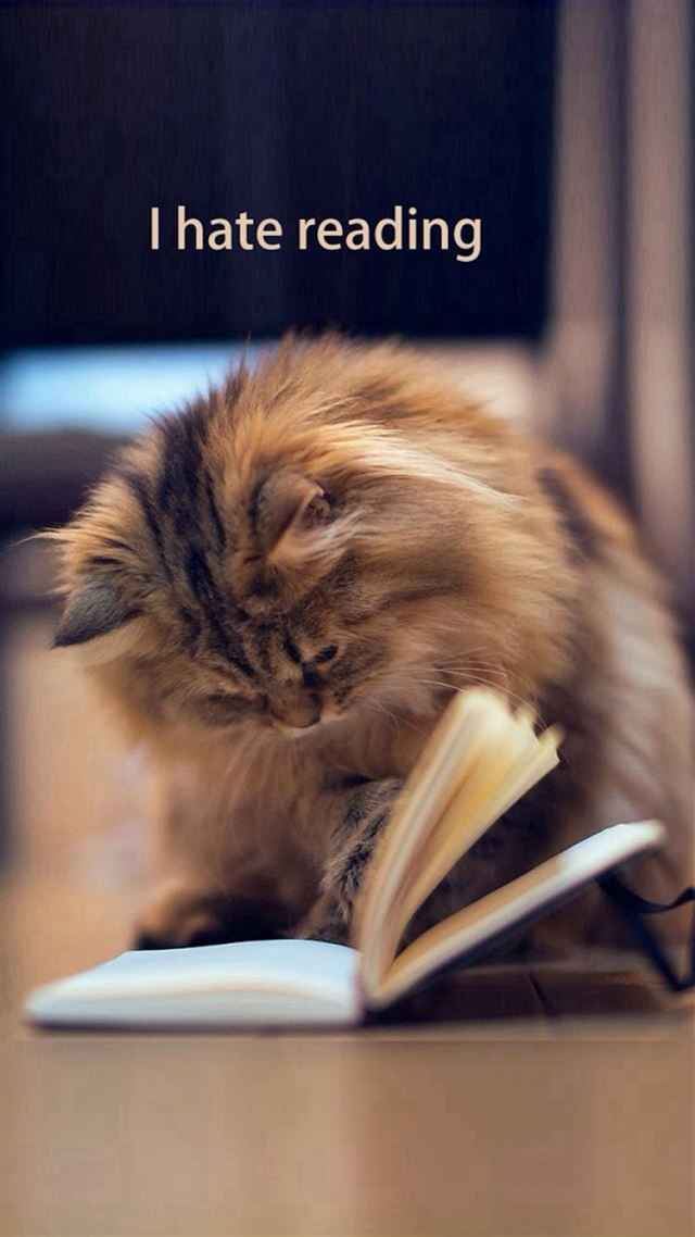 1080x1920 Cute Kitten I Hate Reading -  iPhone 8 Wallpaper