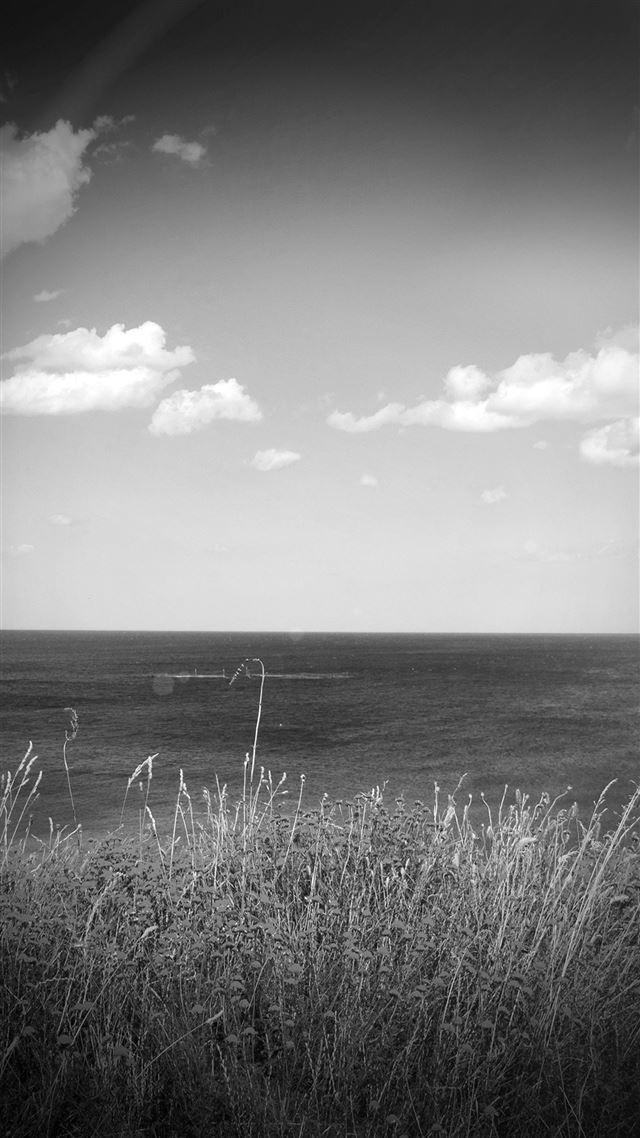 1080x1920 Sea Cloud Flower Nature Old Nostalgia Dark Bw - flower iPhone 8 Wallpaper