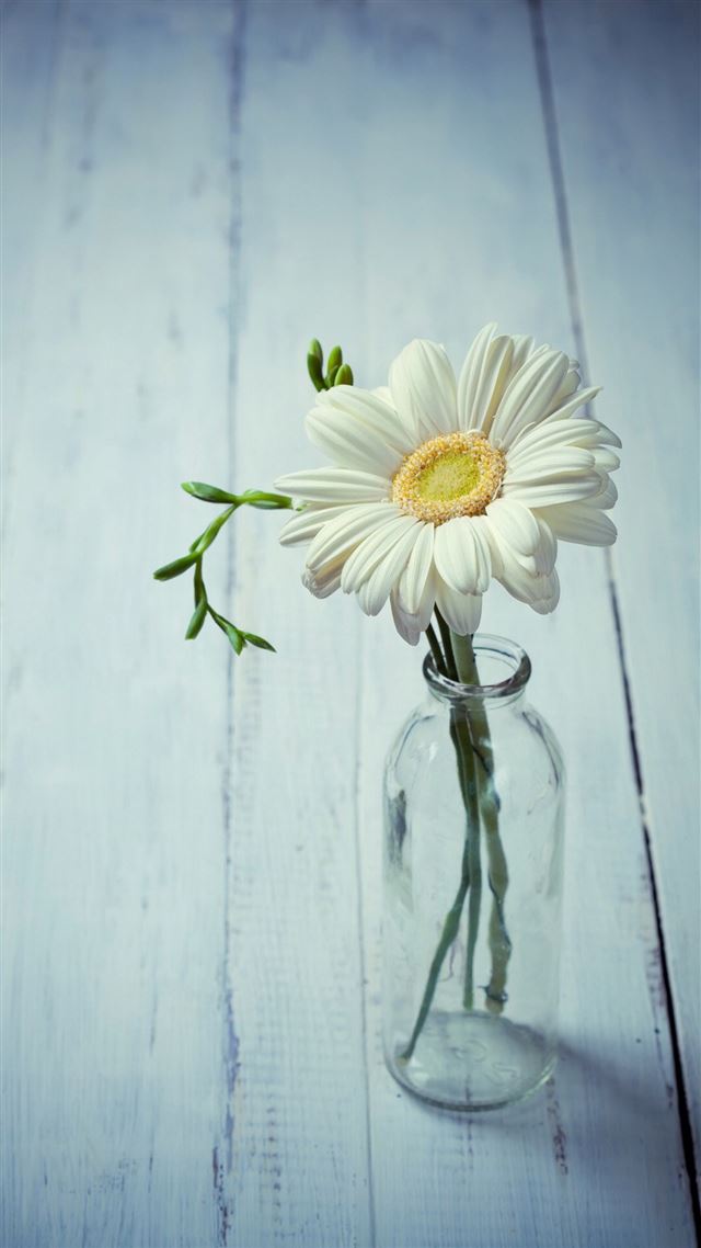 1080x1920 Aesthetic Beauty Daisy Vase - wooden iPhone 8 Wallpaper