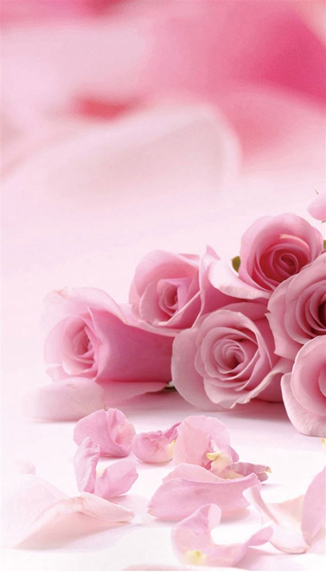 1080x1920 Pink Roses Flower Petals  - beautiful iPhone 8 Wallpaper