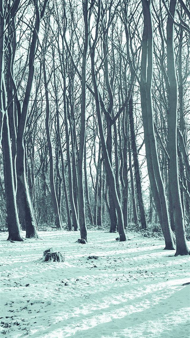 1080x1920 Cold Winter Forest Snow Nature Mountain Blue - shadow iPhone 8 Wallpaper