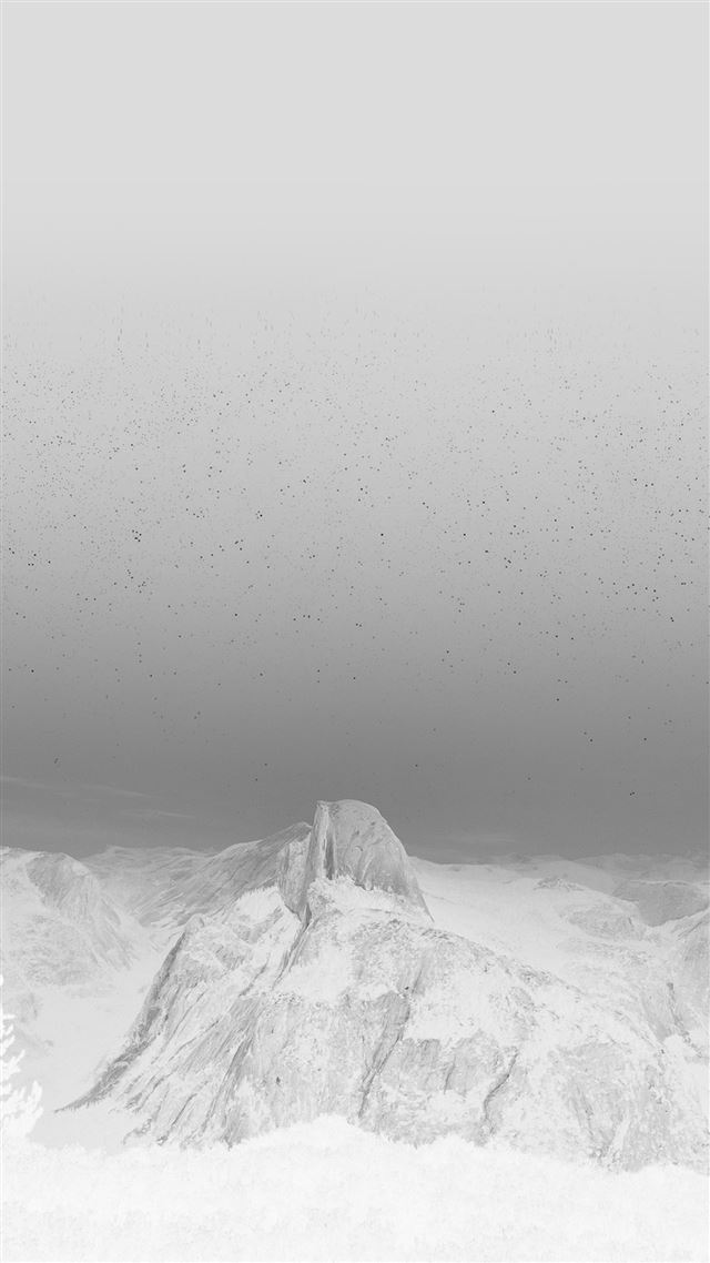 1080x1920 Capitan Mountain Wood Night Sky Star White - night iPhone 8 Wallpaper
