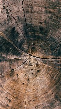 Nature Wood Line Texture Old Dark Pattern wallpaper