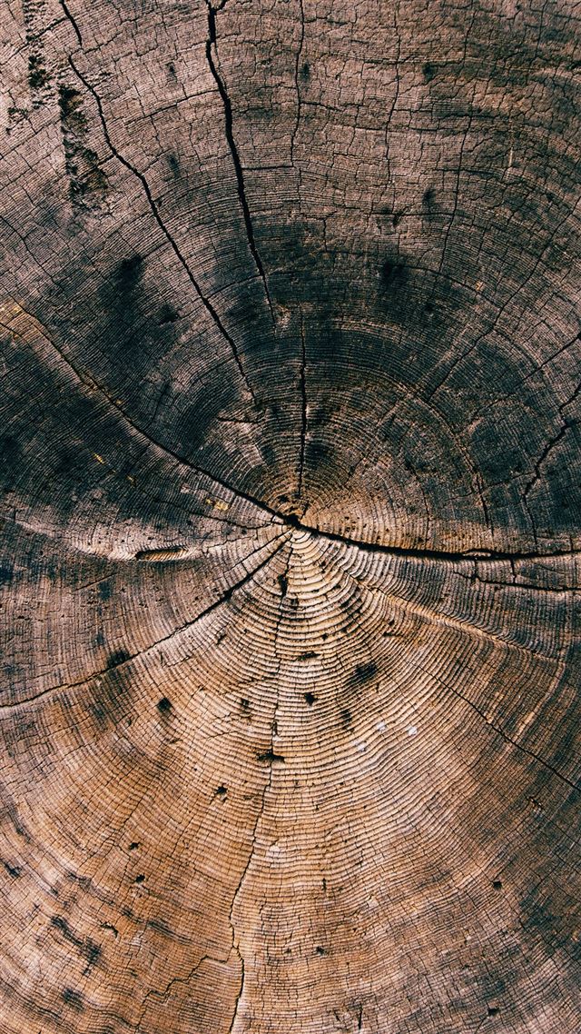 1080x1920 Nature Wood Line Texture Old Dark Pattern - texture iPhone 8 Wallpaper