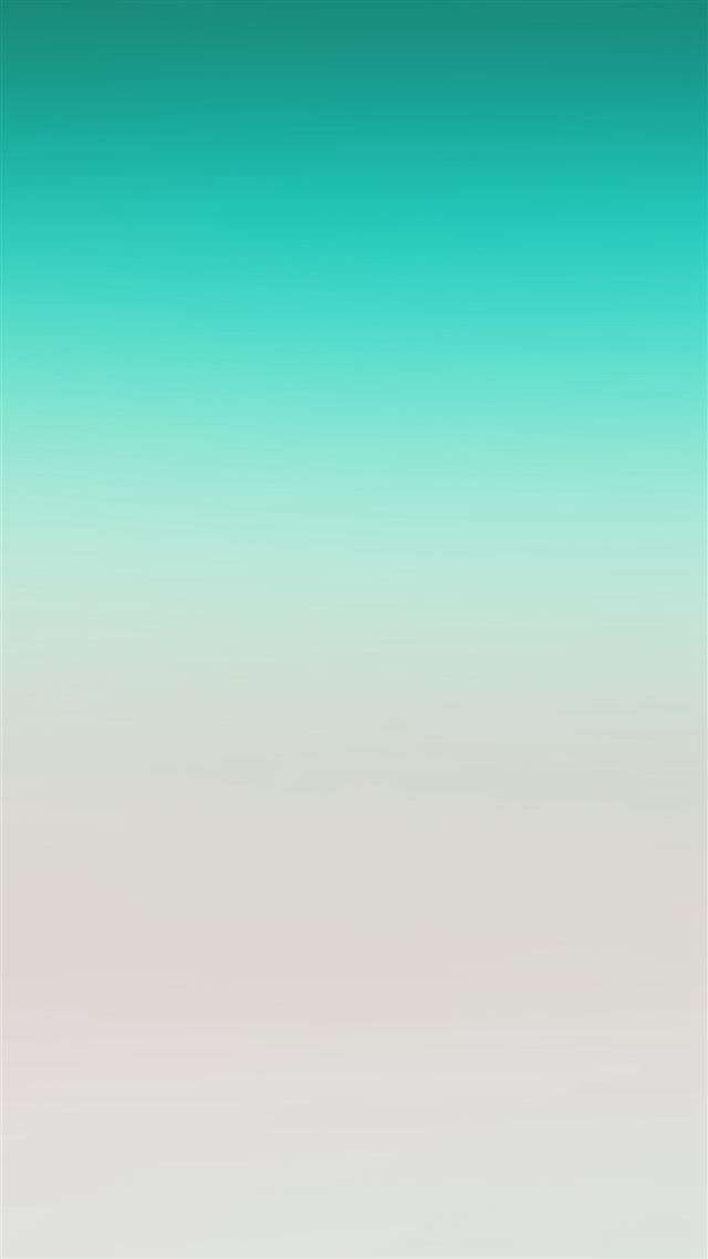 1080x1920 Sky Green Clear White Gradation Blur - clear iPhone 8 Wallpaper