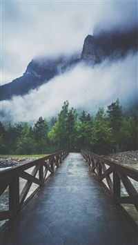 Forest River Crossing Mountain Fog  wallpaper