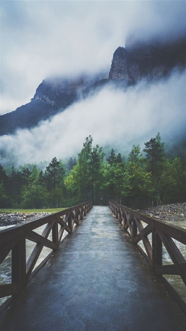 1080x1920 Forest River Crossing Mountain Fog  - bridge iPhone 8 Wallpaper