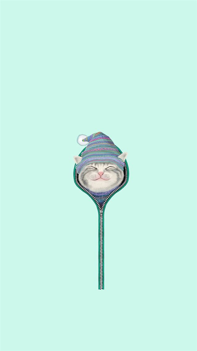 1080x1920 Funny Cat Zipper Fur Cap Hat  - lovely iPhone 8 Wallpaper