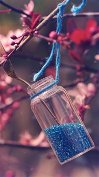 Nature Pink Blossom Plant Vintage Glass Bottle wallpaper